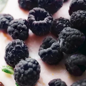Чёрная малина и ваниль [BLACK RASPBERRY & VANILLA] - США