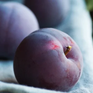 Кашемировая слива [CASHMERE PLUM] - США