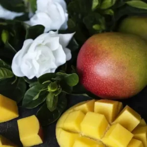 Манго и гардения [Mango and Gardenia] - США